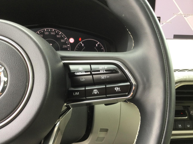 Mazda CX60 2.5 e-SkyActiv PHEV Takumi | PANORAMADAK | CONVENIENCE PACK | DRIVER PACK |
