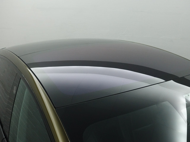 Tesla Model 3 Long Range Performance Edition- Carbon Interieur Afwerking, Full Self Driving, Connectiviteit, Xenon Led, Panodak