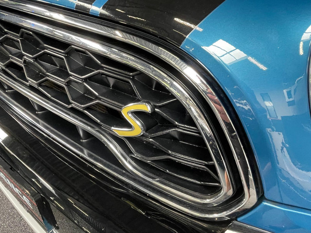 MINI Countryman Cooper 2.0 S E ALL4 PANO NAVI LEER BTW