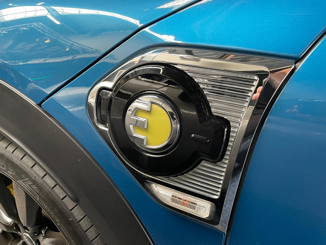 MINI Countryman Cooper 2.0 S E ALL4 PANO NAVI LEER BTW