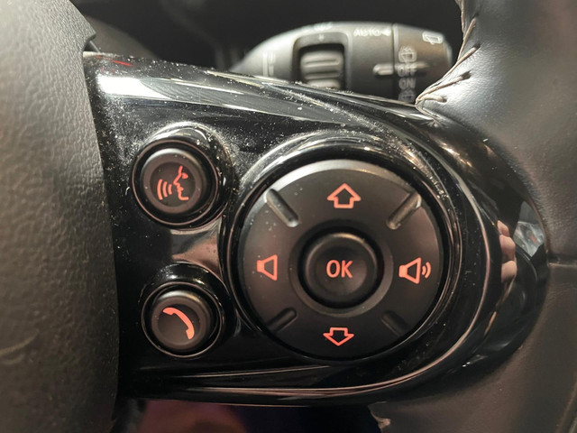 MINI Countryman Cooper 2.0 S E ALL4 PANO NAVI LEER BTW