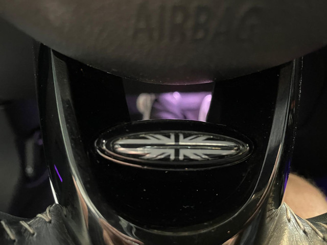 MINI Countryman Cooper 2.0 S E ALL4 PANO NAVI LEER BTW