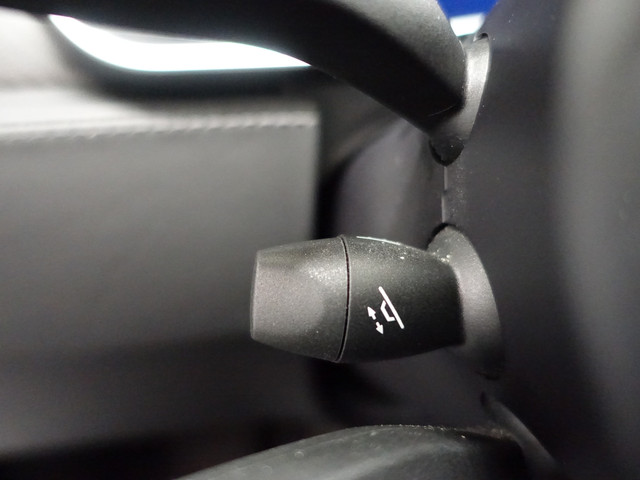 Tesla Model S 75 Performance S Edition Aut- Panodak, Sport Leder, Enhanched Autopilot, Premium Connectivity, Carbon Inleg