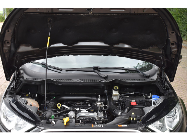 Ford EcoSport 1.0 EcoBoost Trend Ultimate | NL-Auto | Afn.trekhaak | Camera | Carplay | Nav | Cruise Contr | Airco | LM-Velgen | NAP