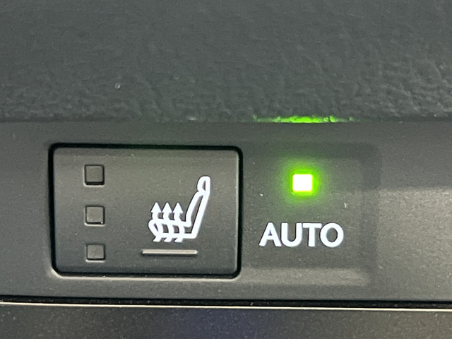 Lexus ES 300h Business Line | Luxueuze uitvoering | LM Velgen 19 | Elektrisch Glazen Panoramadak | Voorstoelen Stuurwiel Verwarmd |