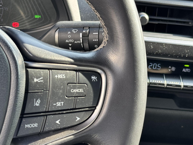 Lexus UX 250h Preference Line EL-ACHTERKLEP BLIND-SPOT KEY-LESS APPLE-CARPLAY