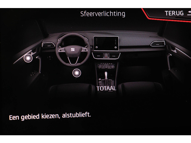 Seat Tarraco 2.0 TDI 4DRIVE Xcellence | TECHNOLOGY   PROFESSIONAL   WINTER- PACK | PANORAMADAK | BEATS DAB | 360 CAMERA | TREKHAAK | 20
