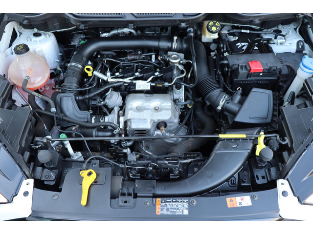 Ford EcoSport 1.0 EcoBoost ST-Line org.NL camera winterpack