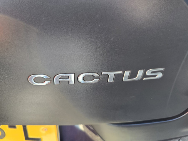 Citroen C4 Cactus 1.2 PureTech Shine | 1E EIGENAAR |12MND GARANTIE | CAMERA | NAVI |
