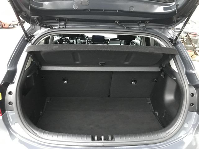 Kia Rio 1.0 T-GDi MHEV GT-Line automaat 7 JAAR GARANTIE
