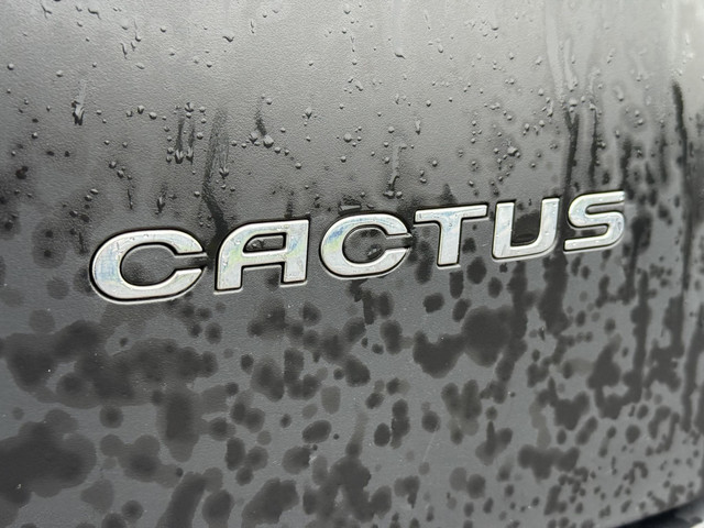 Citroen C4 Cactus 1.2 PureTech Shine 2e Eigenaar,Navi,Clima,PDC,Trekhaak,Driem v.v. bij 96.105 km,N.A.P,APK tot 03-2026