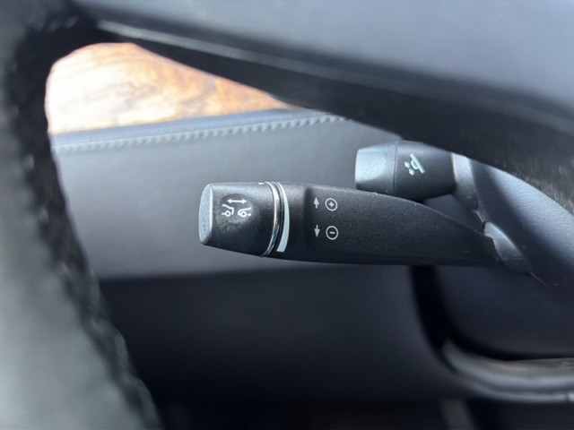 Tesla Model X 100D 7P TREKHAAK CAMERA LEDER NAVI CRUISE STOELVERW