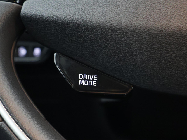 Kia Niro 1.6 PHEV DYNAMIC-SPORTS 183 PK GARANTIE TOT 5-2033 ZEER ZUINIG. CAMERA. PARKEERSENSOREN V+A ETC